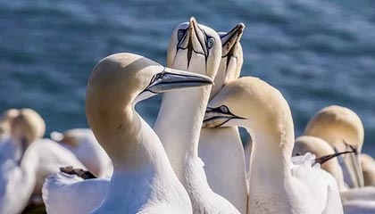 星空影院入口与功能全解析:适配电视大屏与投屏设备的实用教程(2025 深度版)