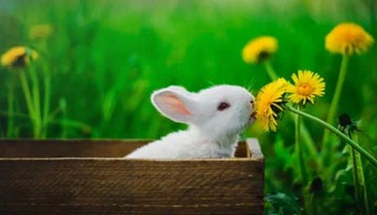 星辰影院完整说明书:多端账号切换与数据备份方法分享,星辰影院是一个什么网站