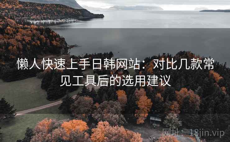 懒人快速上手日韩网站：对比几款常见工具后的选用建议
