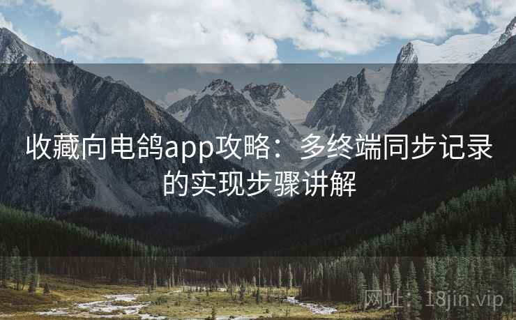 收藏向电鸽app攻略:多终端同步记录的实现步骤讲解