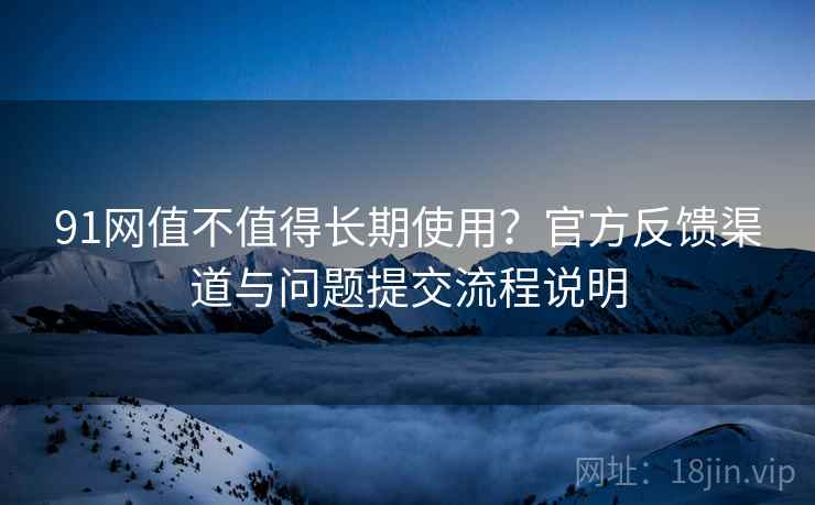 91网值不值得长期使用？官方反馈渠道与问题提交流程说明