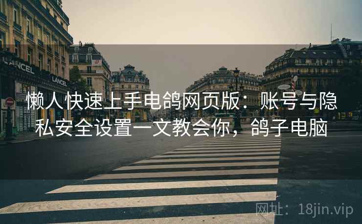 懒人快速上手电鸽网页版：账号与隐私安全设置一文教会你，鸽子电脑