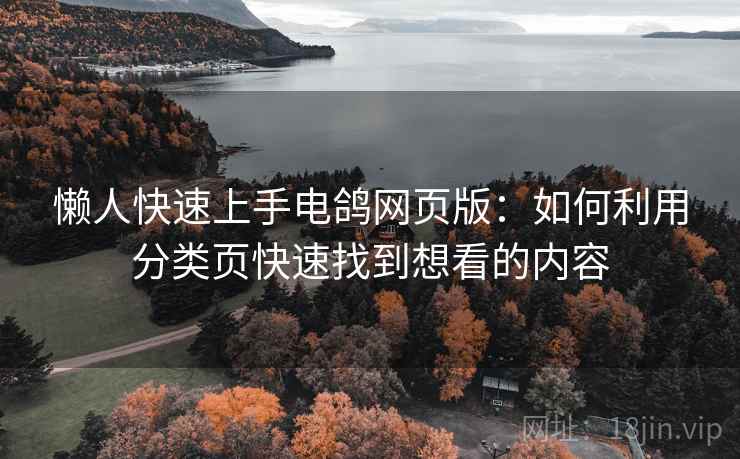 懒人快速上手电鸽网页版：如何利用分类页快速找到想看的内容