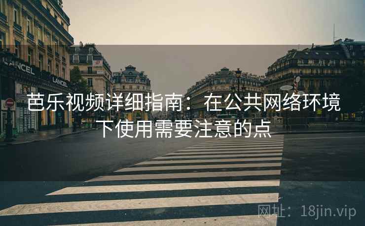 芭乐视频详细指南：在公共网络环境下使用需要注意的点