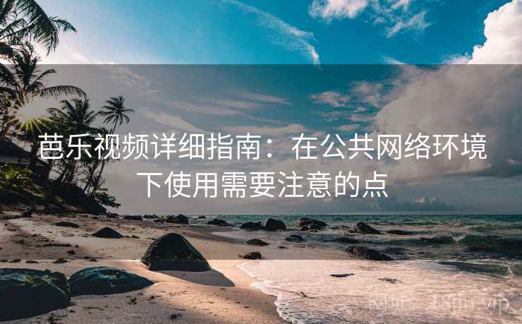 芭乐视频详细指南：在公共网络环境下使用需要注意的点