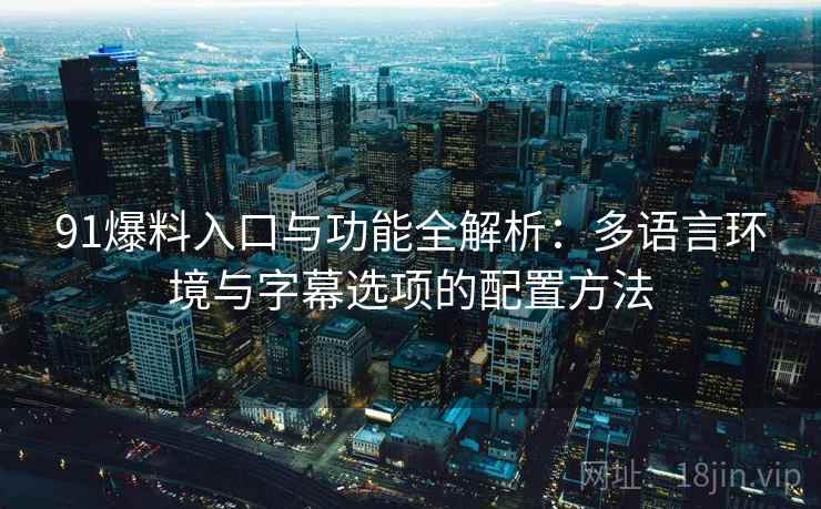 91爆料入口与功能全解析：多语言环境与字幕选项的配置方法