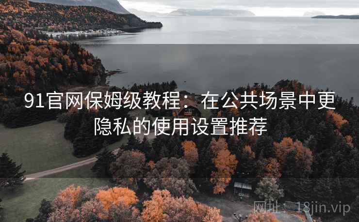 91官网保姆级教程：在公共场景中更隐私的使用设置推荐