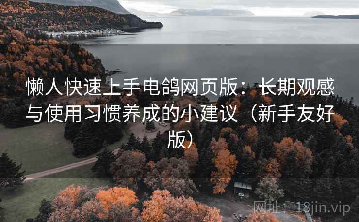 懒人快速上手电鸽网页版：长期观感与使用习惯养成的小建议（新手友好版）