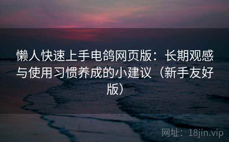 懒人快速上手电鸽网页版：长期观感与使用习惯养成的小建议（新手友好版）