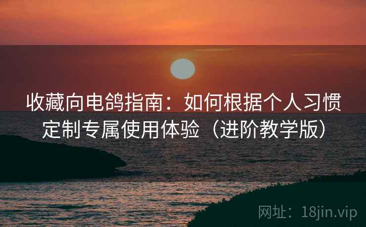 收藏向电鸽指南：如何根据个人习惯定制专属使用体验（进阶教学版）