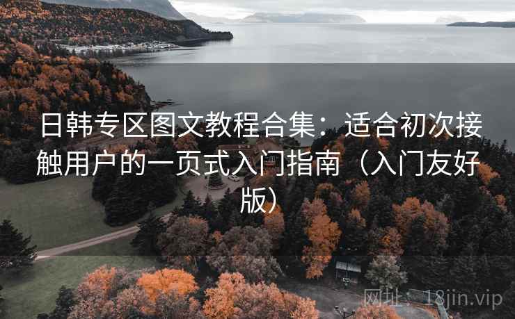 日韩专区图文教程合集：适合初次接触用户的一页式入门指南（入门友好版）