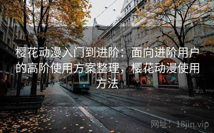 樱花动漫入门到进阶：面向进阶用户的高阶使用方案整理，樱花动漫使用方法